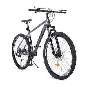 29 Inch Adult Bike