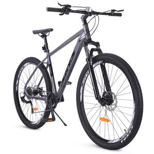 29 Inch Adult Bike