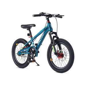 20 Inch Kids Bike