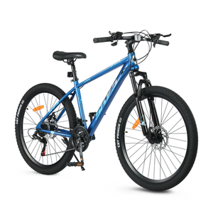 26 Inch Adult Bike