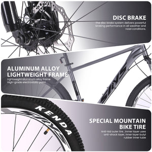 29 Inch Adult Bike