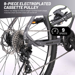 29 Inch Adult Bike