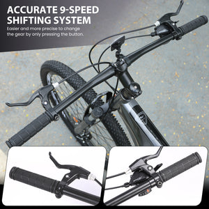 29 Inch Adult Bike
