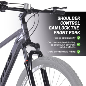 29 Inch Adult Bike