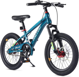 20 Inch Kids Bik
