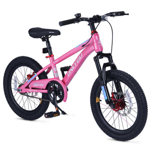 SkyKing 20" Kids Bike