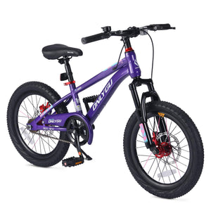 20 Inch Kids Bik