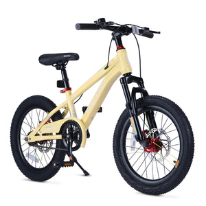 SkyKing 20" Kids Bike