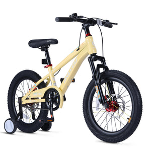 SkyKing 20" Kids Bike