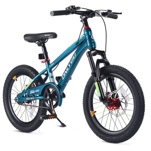 SkyKing 20" Kids Bike