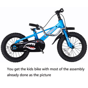 SkyKing 16" Kids Bike
