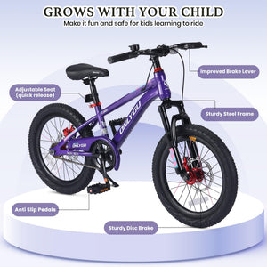 20 Inch Kids Bik