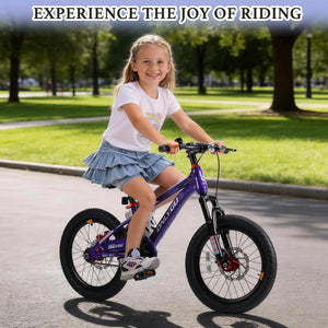 20 Inch Kids Bik